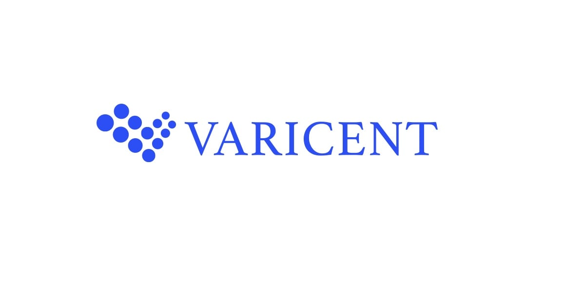 Careers At Varicent